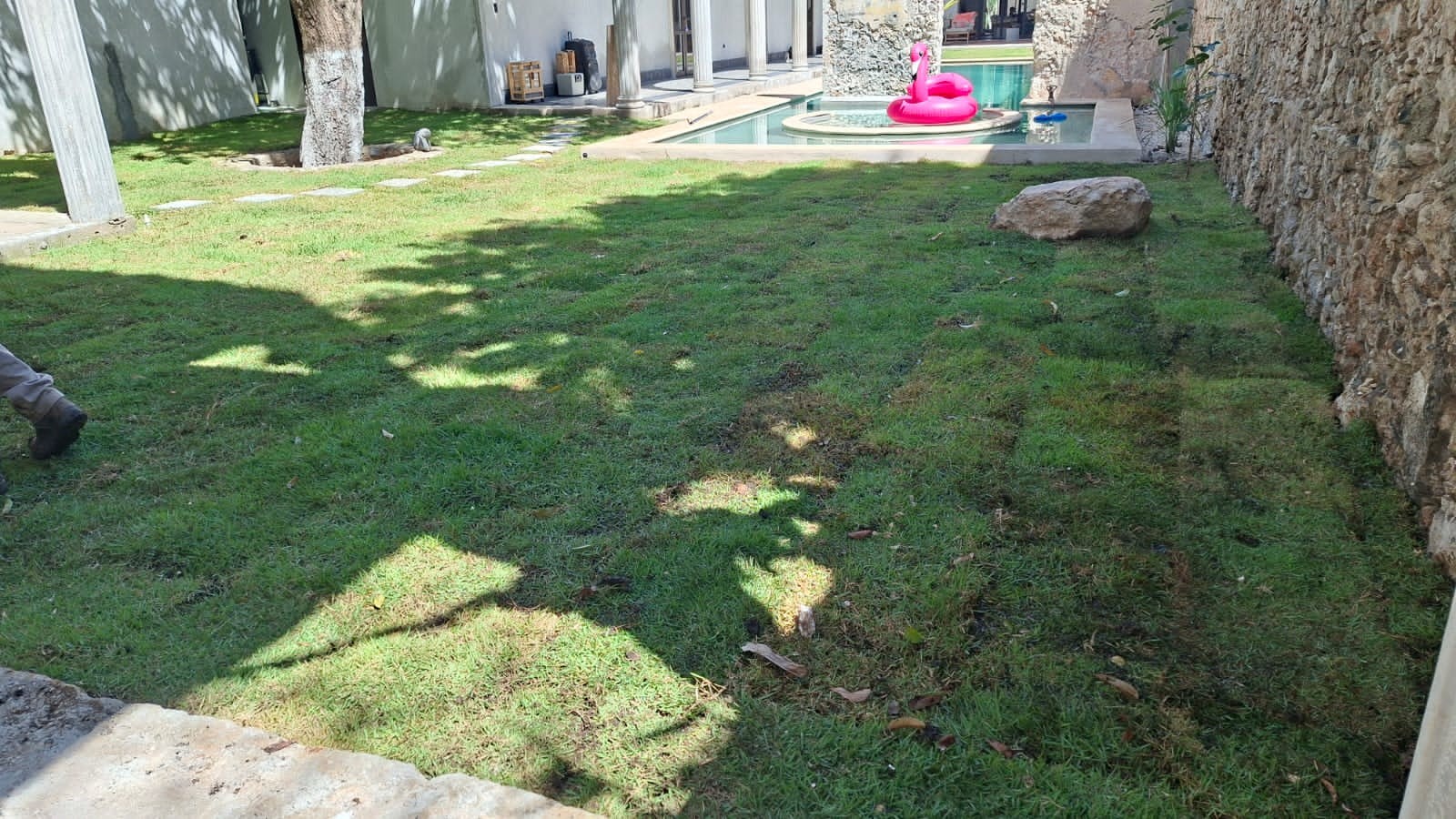 Mantenimiento de jardín y fachada